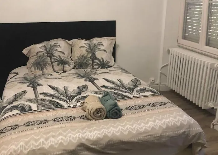 Petillant Cosy